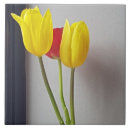 Suche nach bunte quadrate fliesen Rot