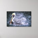 Suche nach mittlere leinwandbilder Tierwelt