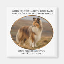 Suche nach collie magnete Haustier