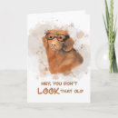 Suche nach hundefreunde geburtstagskarte karten Aquarell