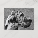 Suche nach great dane hund visitenkarten Großer tod