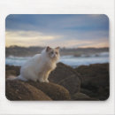 Suche nach ragdoll katze mousepads Katzenartig