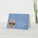 Suche nach shih karten Schnee