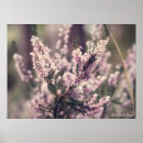 Suche nach heide poster Wald