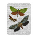 Suche nach schmetterlinge magnete Steampunk