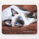 Suche nach abgabe mousepads Für alle