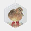 Suche nach der lustige bauernhof ornamente Niedlich