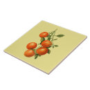 Suche nach antike illustrationen fliesen Botanisch