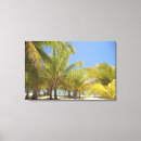 Suche nach stuhl leinwandbilder Natur