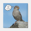 Suche nach reizend magnete Jede person