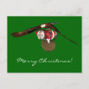 Suche nach raubvögel karten Glatzadler