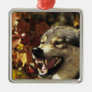 Suche nach tierkopf ornamente Wild lebende tiere