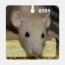 Suche nach ratte ornamente Mäuse