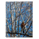 Suche nach rotkehlchen kleine notizbücher Baum