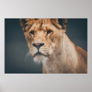 Suche nach wilde frauen poster Natur