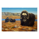 Suche nach moschus poster Kanada