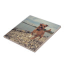 Suche nach bild fliesen Familie