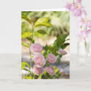 Suche nach busch der rosen Rosa