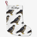 Suche nach falken schmuck Vogelvogel
