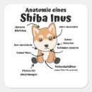 Suche nach shiba inus Welpe