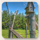 Suche nach vogelhaus untersetzer Grün