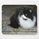 Suche nach langhaarige katze mousepads Katzen