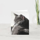 Suche nach katzengeschenke karten Katzenkarte