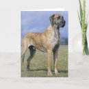 Suche nach brindle karten Hund