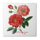 Suche nach botanische illustration fliesen Vintag