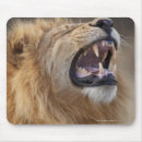 Suche nach männlicher löwe mousepads Afrika