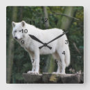 Suche nach weißer wolf wanduhren Tier