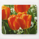 Suche nach heller frühling mousepads Natur