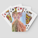 Suche nach grand canyon spielkarten Kartenspiel