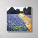 Suche nach texas leinwandbilder Natur