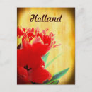 Suche nach holländer postkarten Tulpen