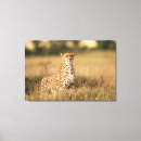 Suche nach gepard leinwandbilder Tag