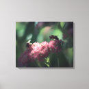 Suche nach fehler leinwandbilder Blume