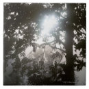 Suche nach dschungel fliesen Blatt