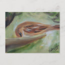 Suche nach feeder postkarten Vögel