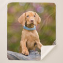 Suche nach überzogen decken Welpe