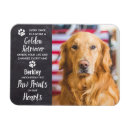 Suche nach goldene retriever magnete Hunde