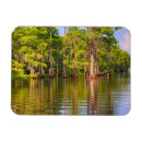 Suche nach bayou magnete Sumpf