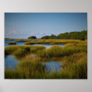 Suche nach grün braun poster Küste