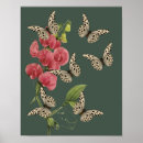 Suche nach erbsen poster Natur