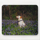 Suche nach seemann mousepads Gelb