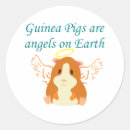 Suche nach engelsflügel aufkleber Guinea