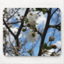 Suche nach blühender baum mousepads Quelle