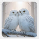 Suche nach schneeeule aufkleber Jede person