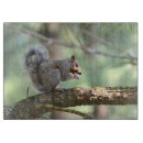 Suche nach niedliches eichhörnchen schneidebrettchen Natur