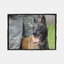 Suche nach belgische malinois decken Für alle